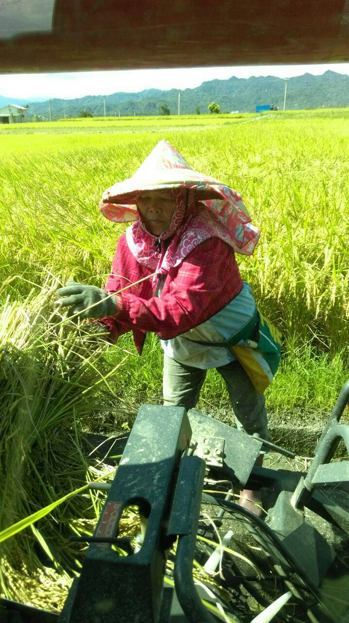 點擊在新窗口中打開圖片